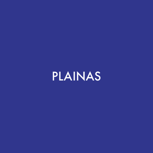 Plainas